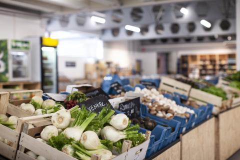 venkel winkel