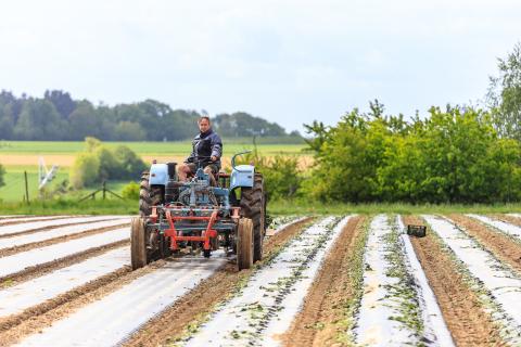 tractor
