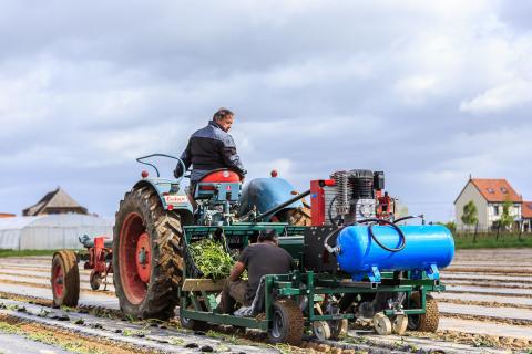 tractor