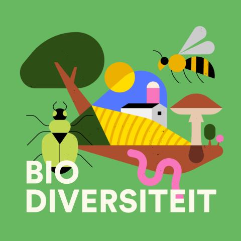Biodiversiteit