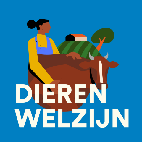 Dierenwelzijn