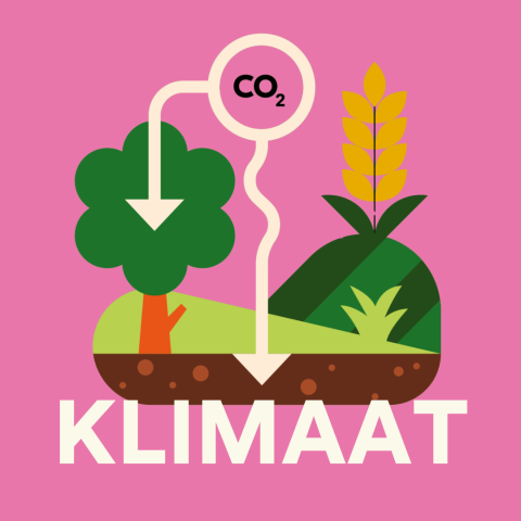 Klimaat