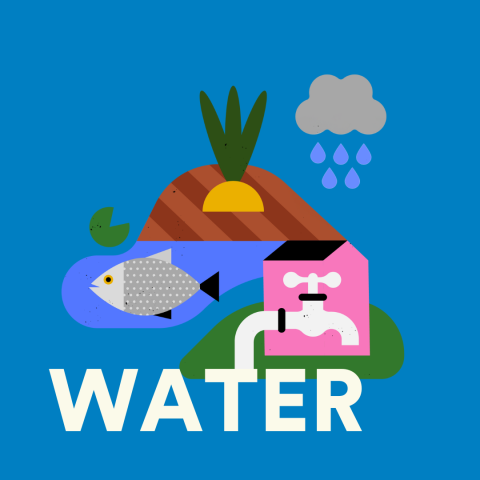 Water