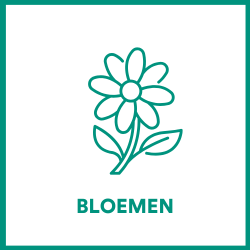 Bloemen