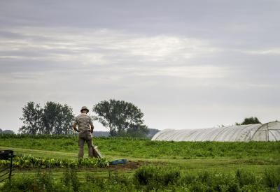 bioboer op veld