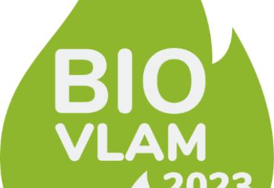 vlam