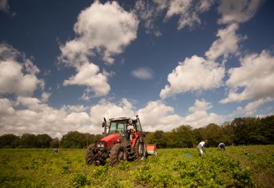 tractor